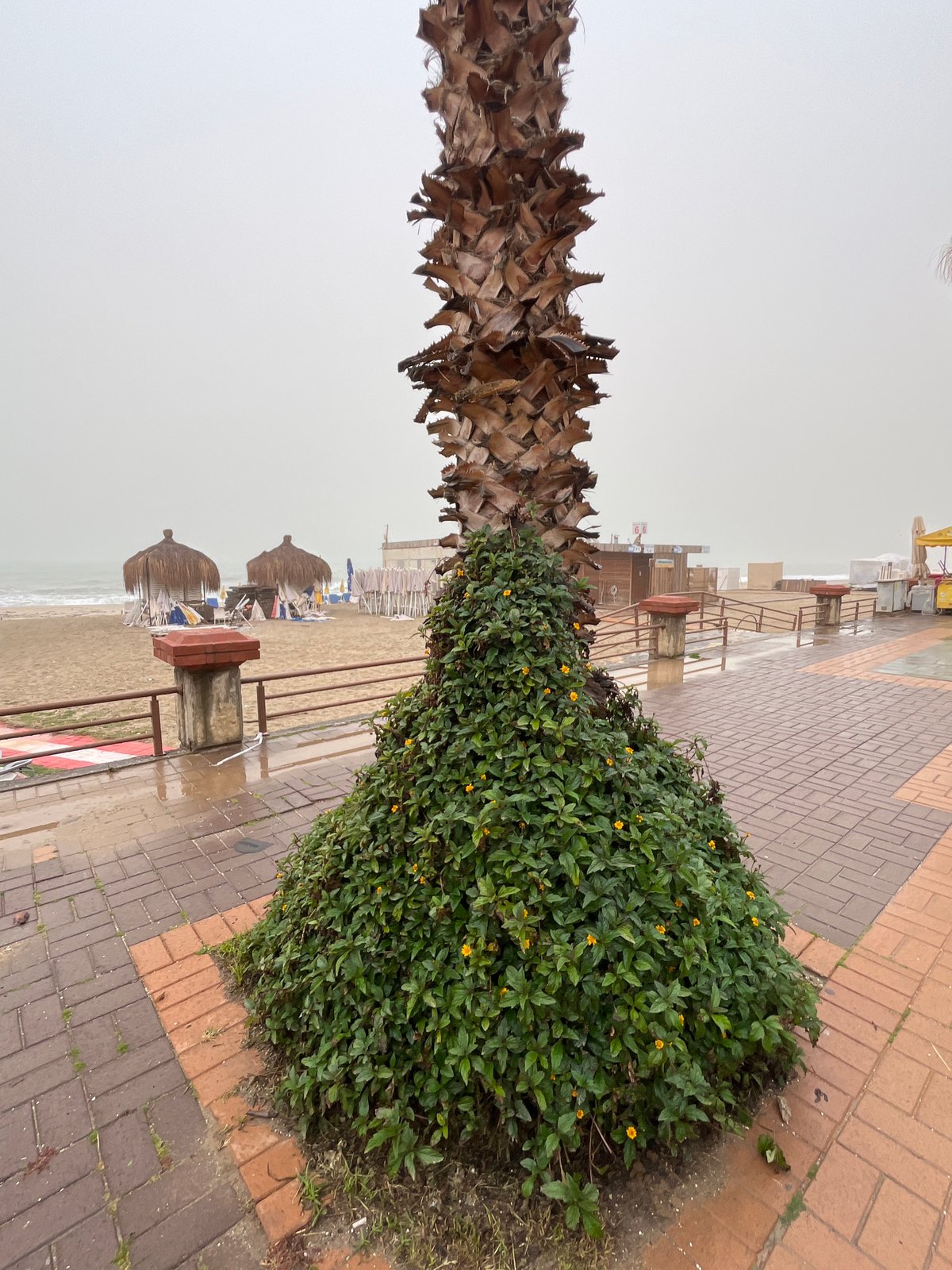 Hazy weather and art installations documented in Alanya Turkey