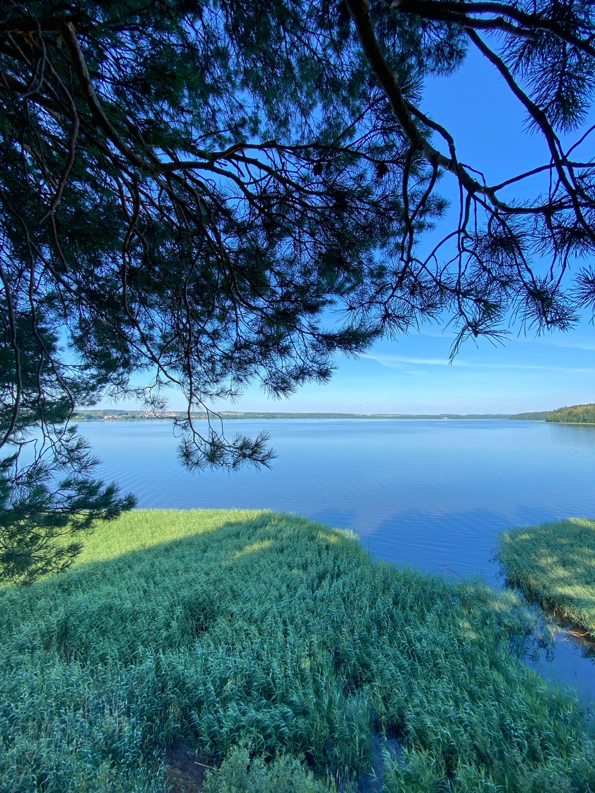 Lakeside deck moment in Votkinsk on a clear summer morning