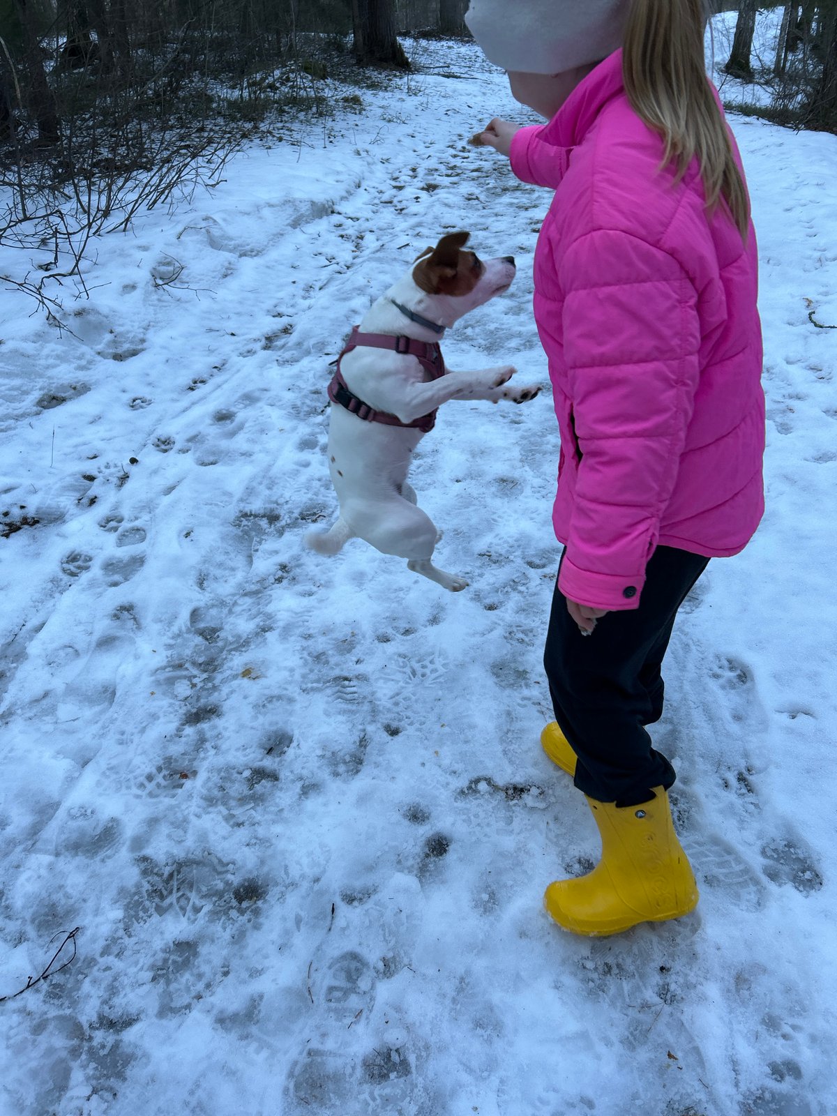 Child plays blindfolded snow games with dog in Russian forest
