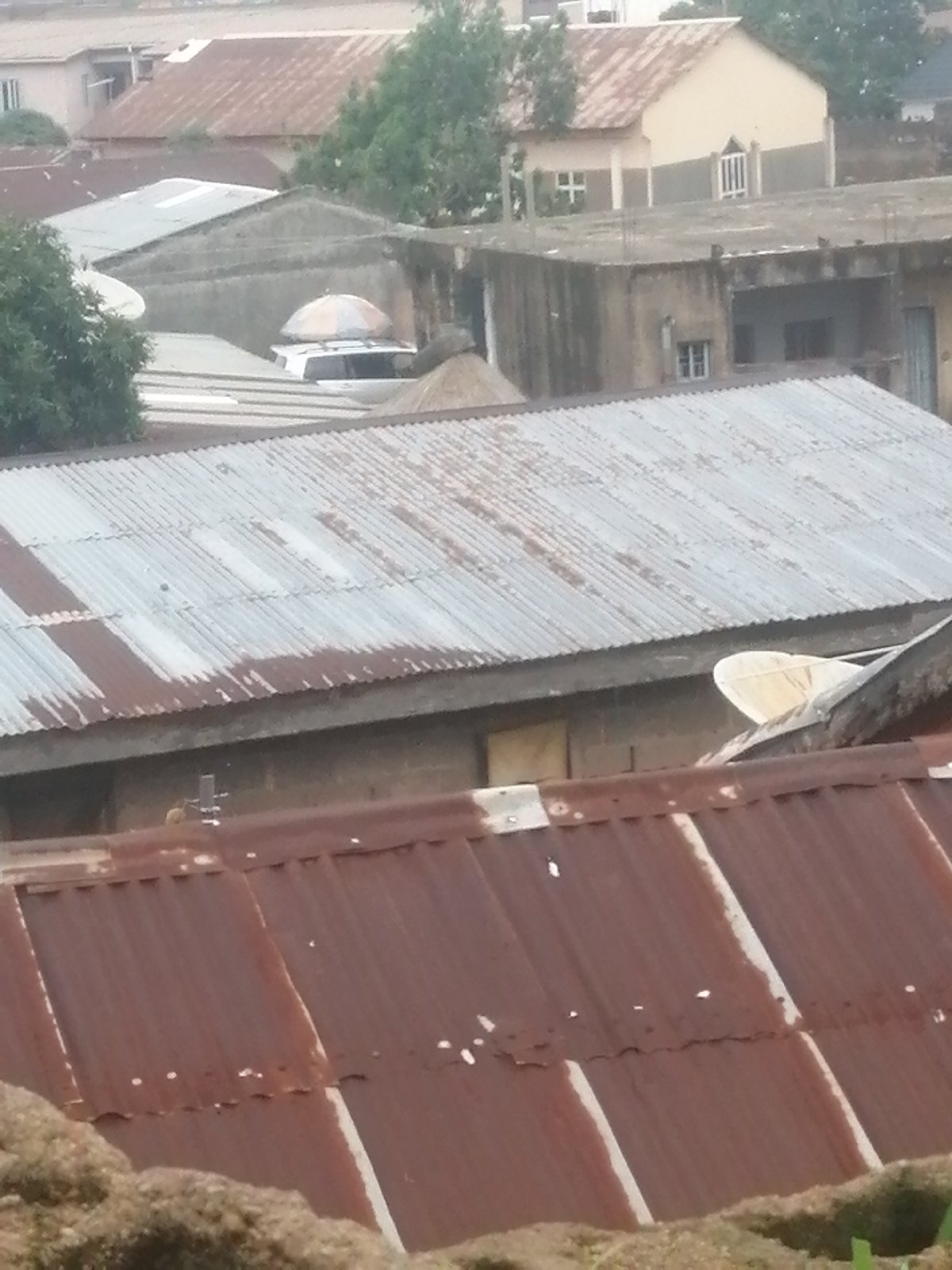 Ground-level survey of a dense informal urban settlement
