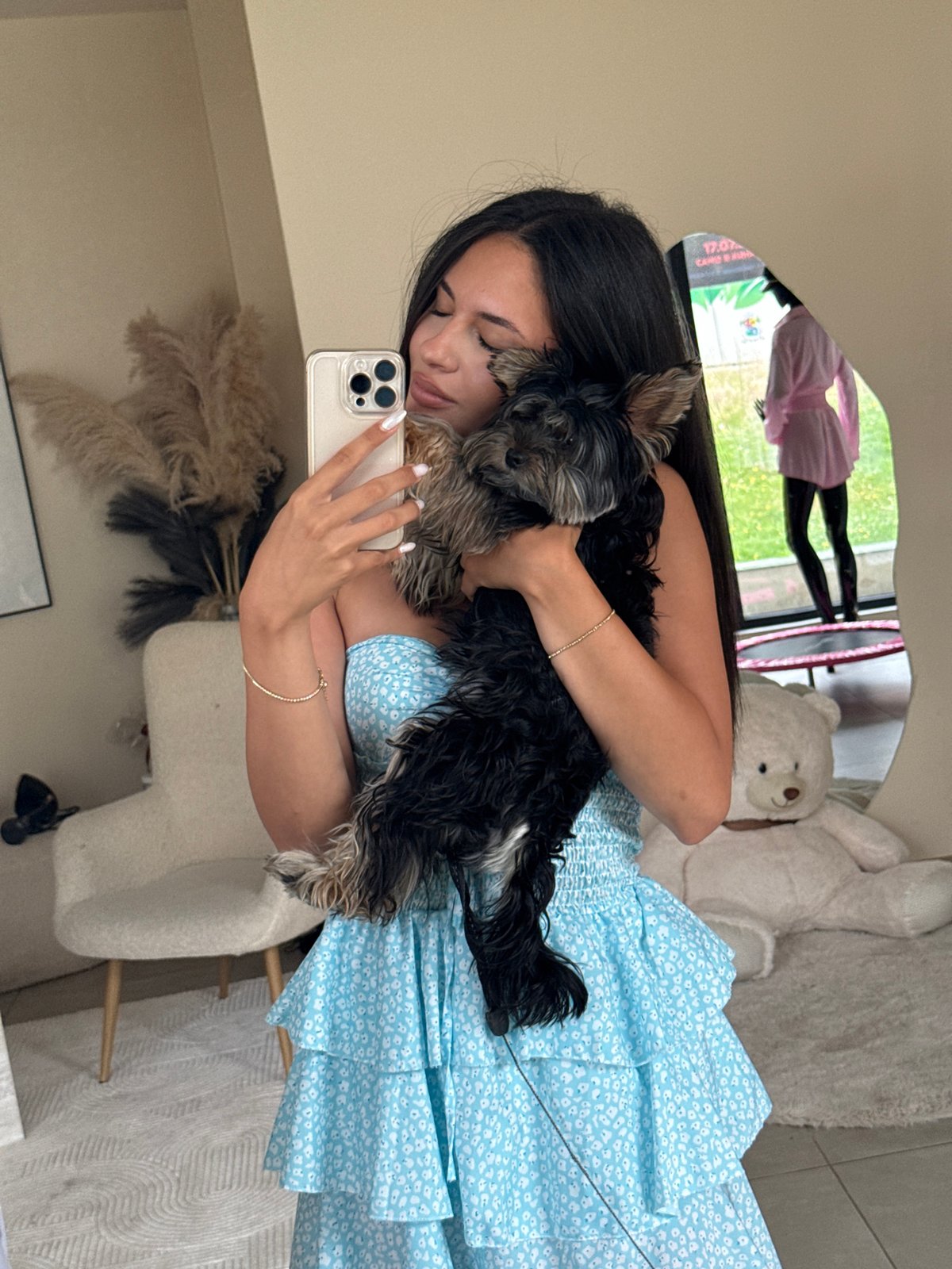 Yorkshire Terrier chills and poses indoors in Sofia