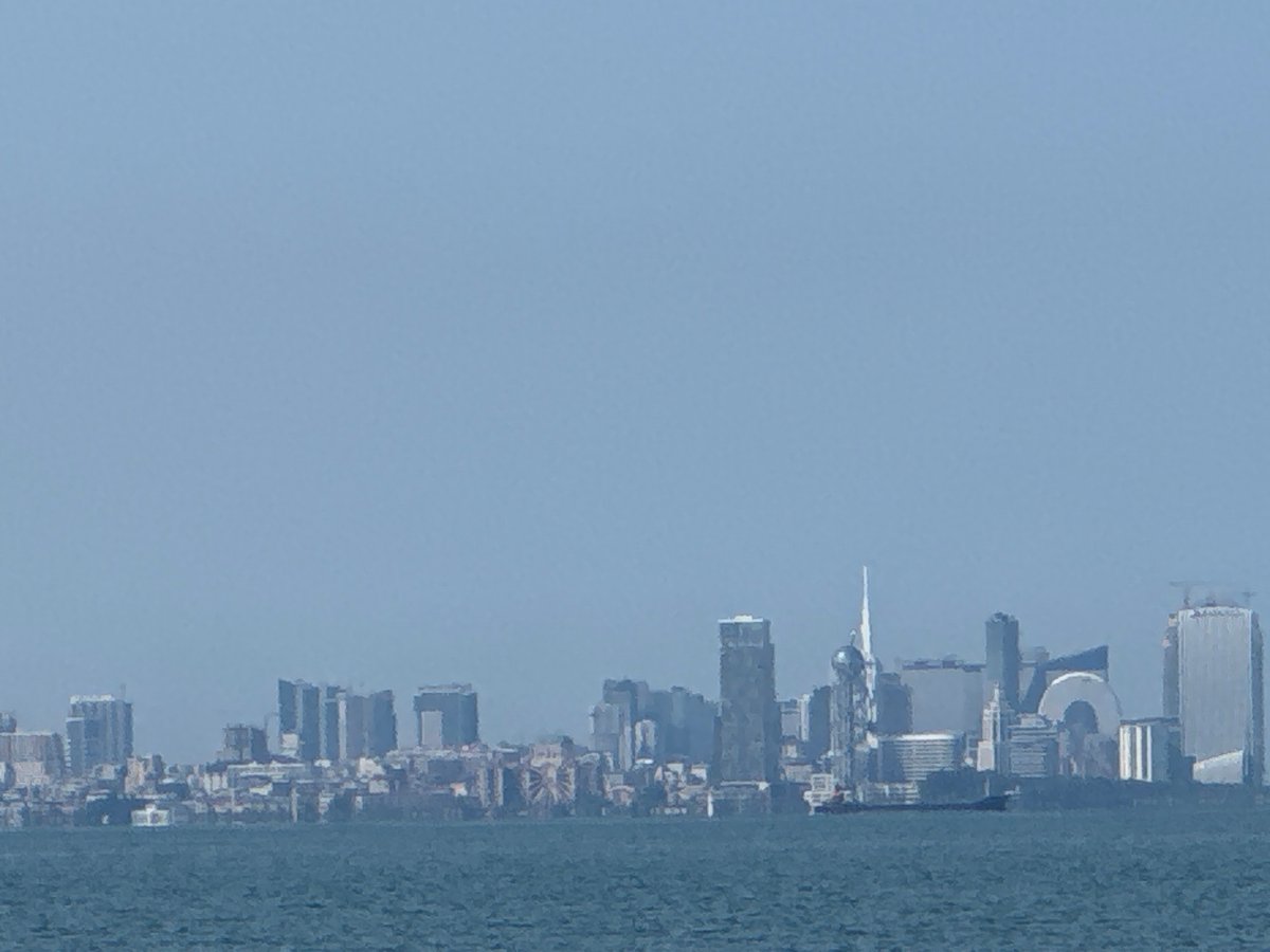 Hazy skyline of high-rises seen across the water near Chakvi