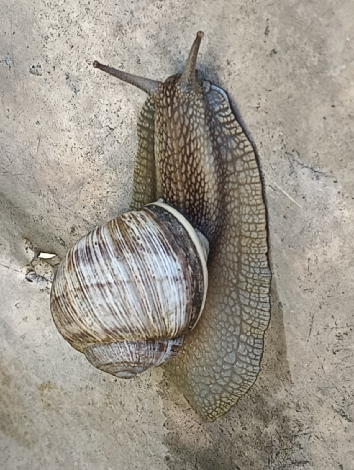 Morning wildlife observations and digital content captured in Biliaivka