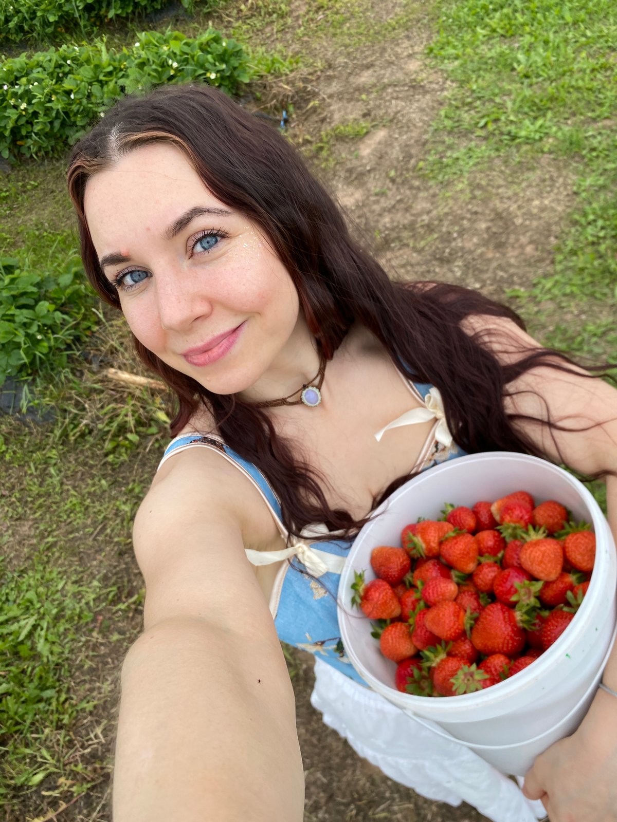 Picking strawberries in a field near Foteni, Russia