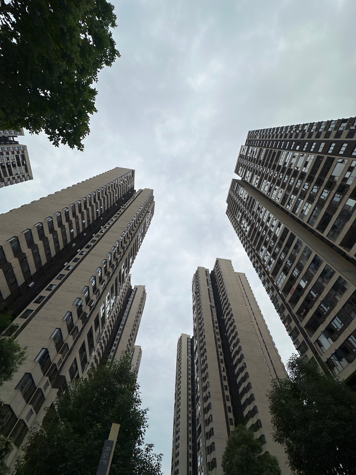 Witness documents Chongqing High-tech Zone urban landscape and greenery