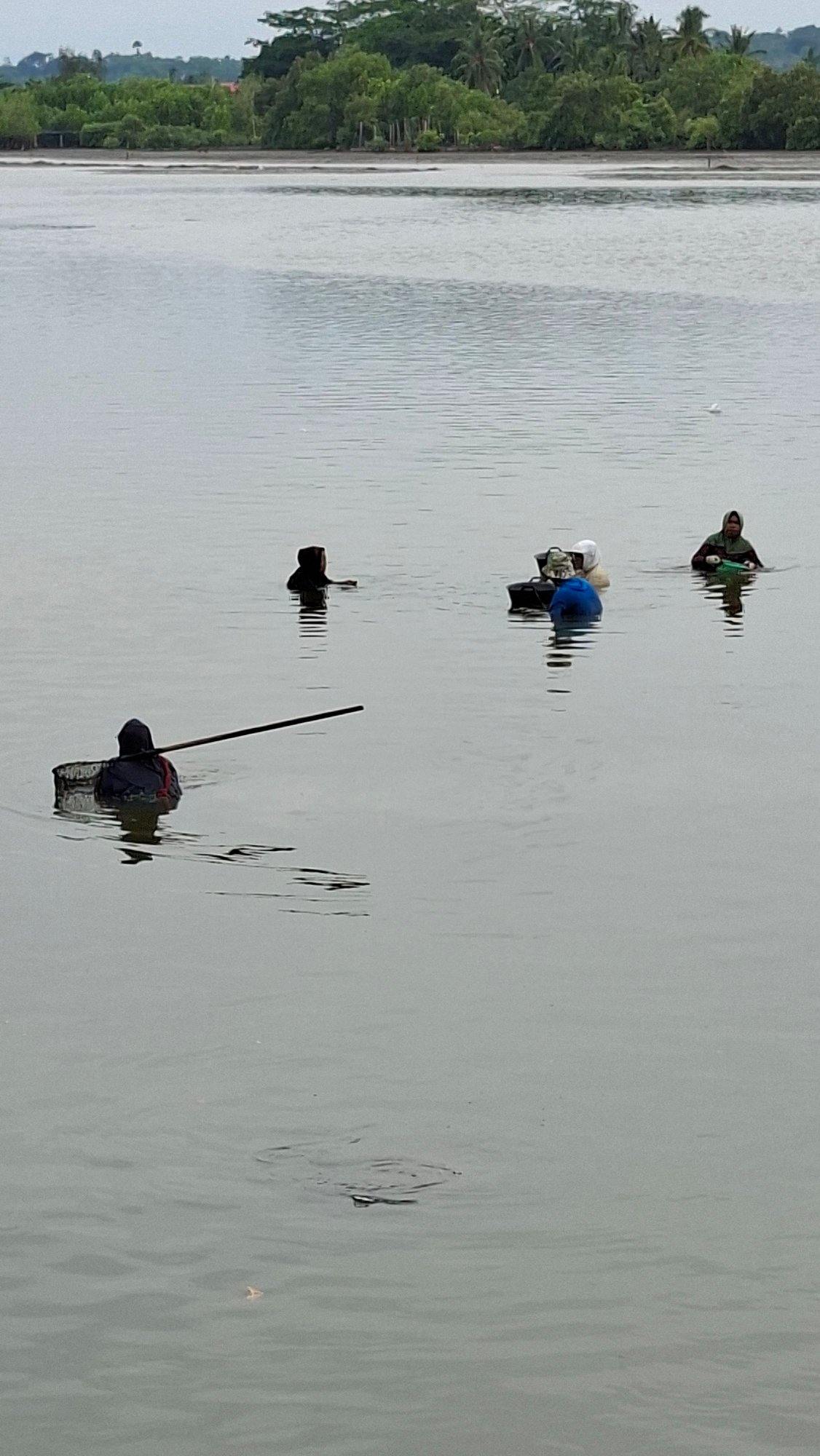 Fishing and foraging along a tidal flat in Lhokseumawe
