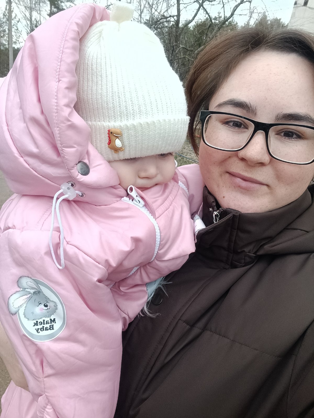 Two cats transported in pet stroller in Noviy, Russia