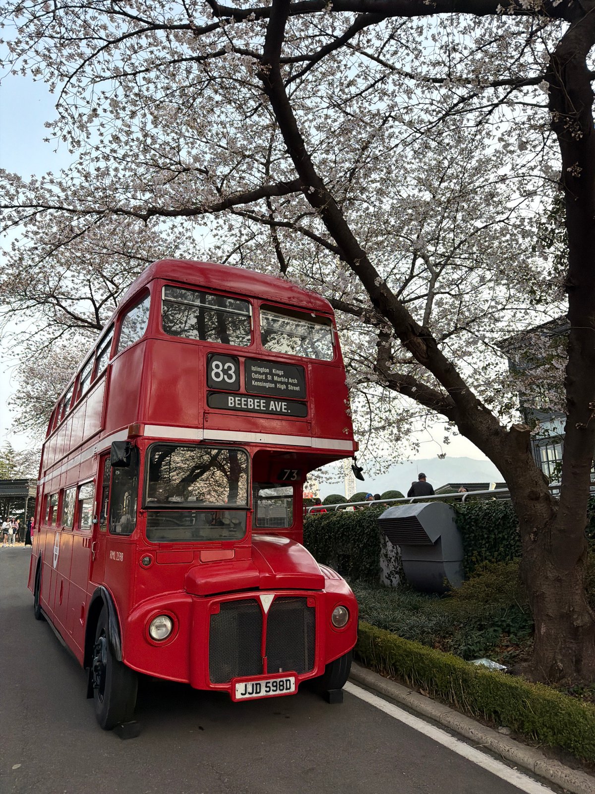 Event in Daegu, South Korea