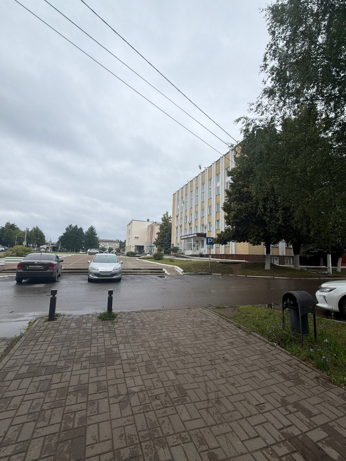 Rainy morning in Chaikovsky: streets, cats, and everyday moments