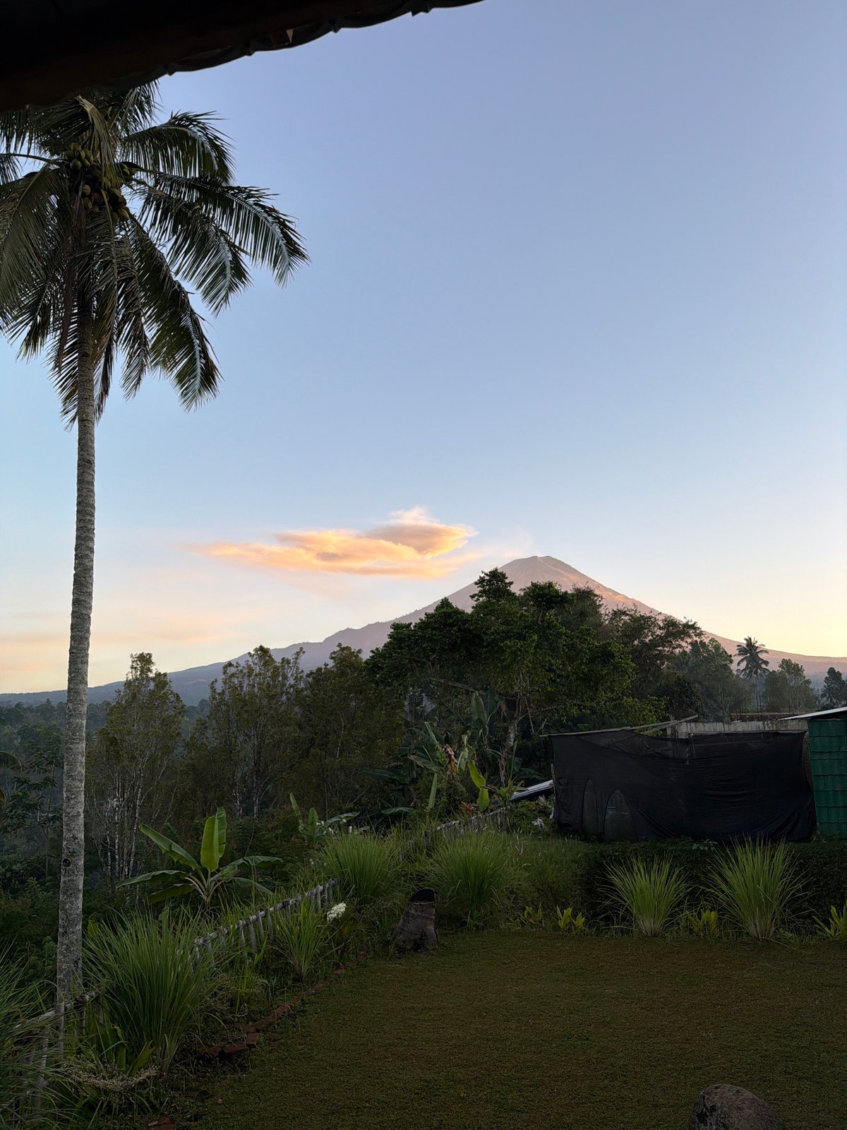 Dusk settles over a tropical palm landscape in Sidomulyo