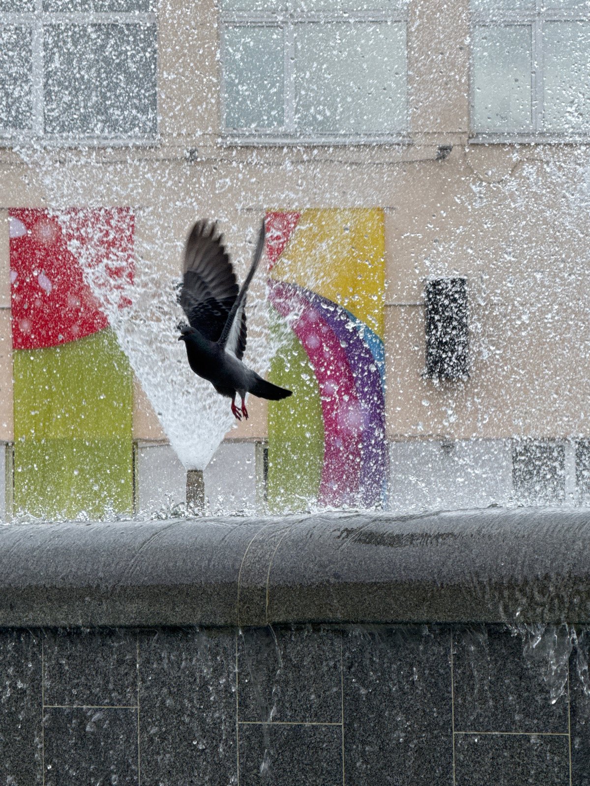 Morning life captured in Chaikovsky fountain plaza June 11