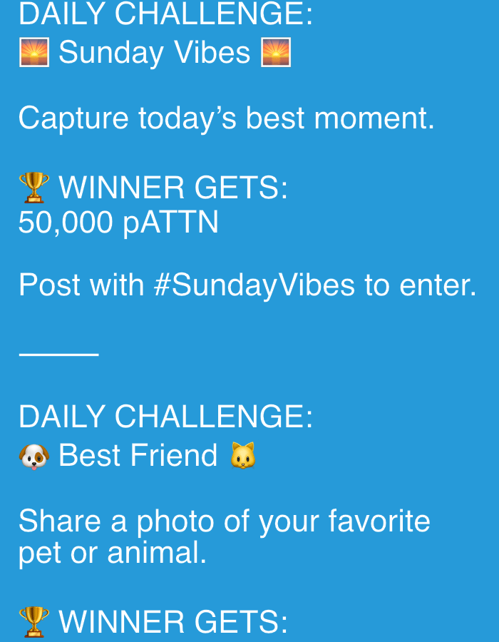 Daily challenge posts and backyard snapshots from rural Poland