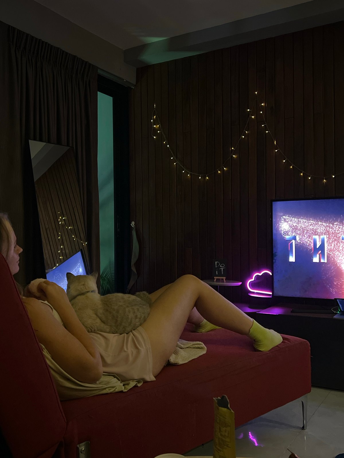 Person and cat share quiet evening moments in living room