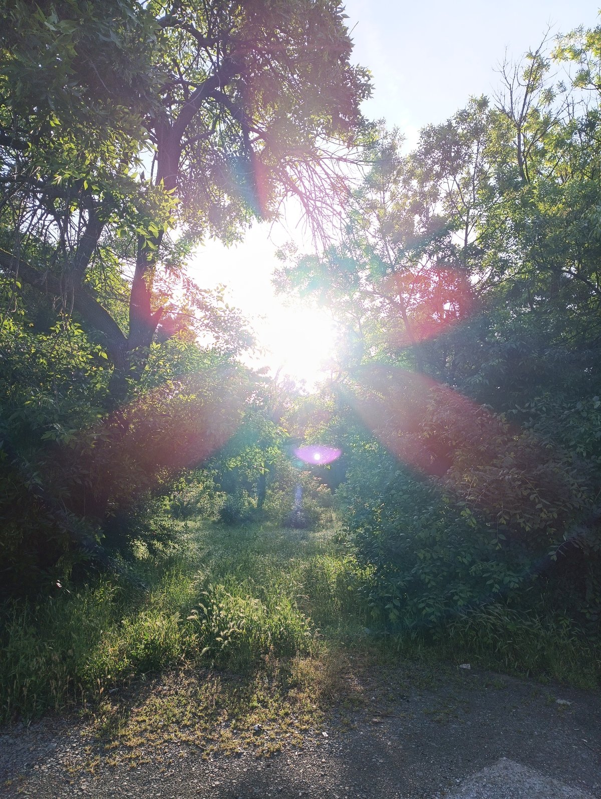 Morning documentation of streets and paths in Karnobat, Bulgaria