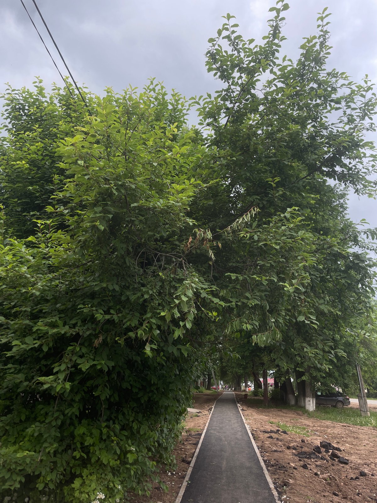 New pedestrian pathway documented in Sharkan, Russia