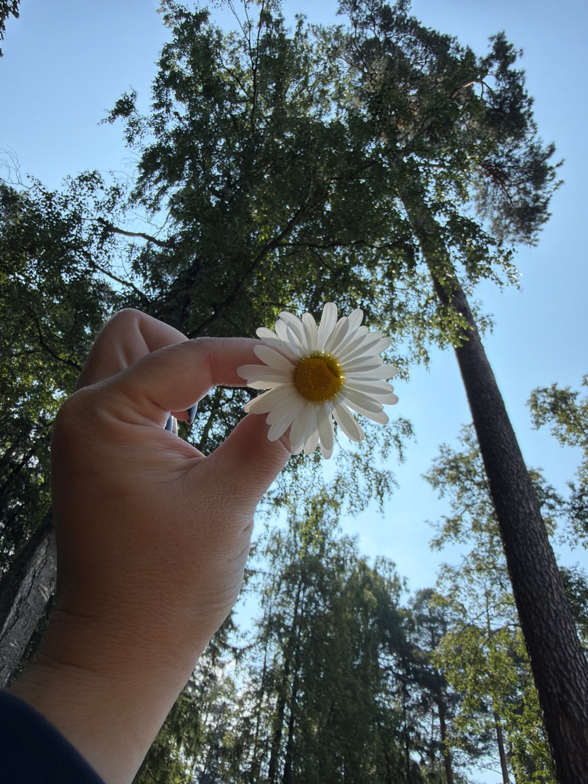 Summer morning bike ride through Chaikovsky's forest paths