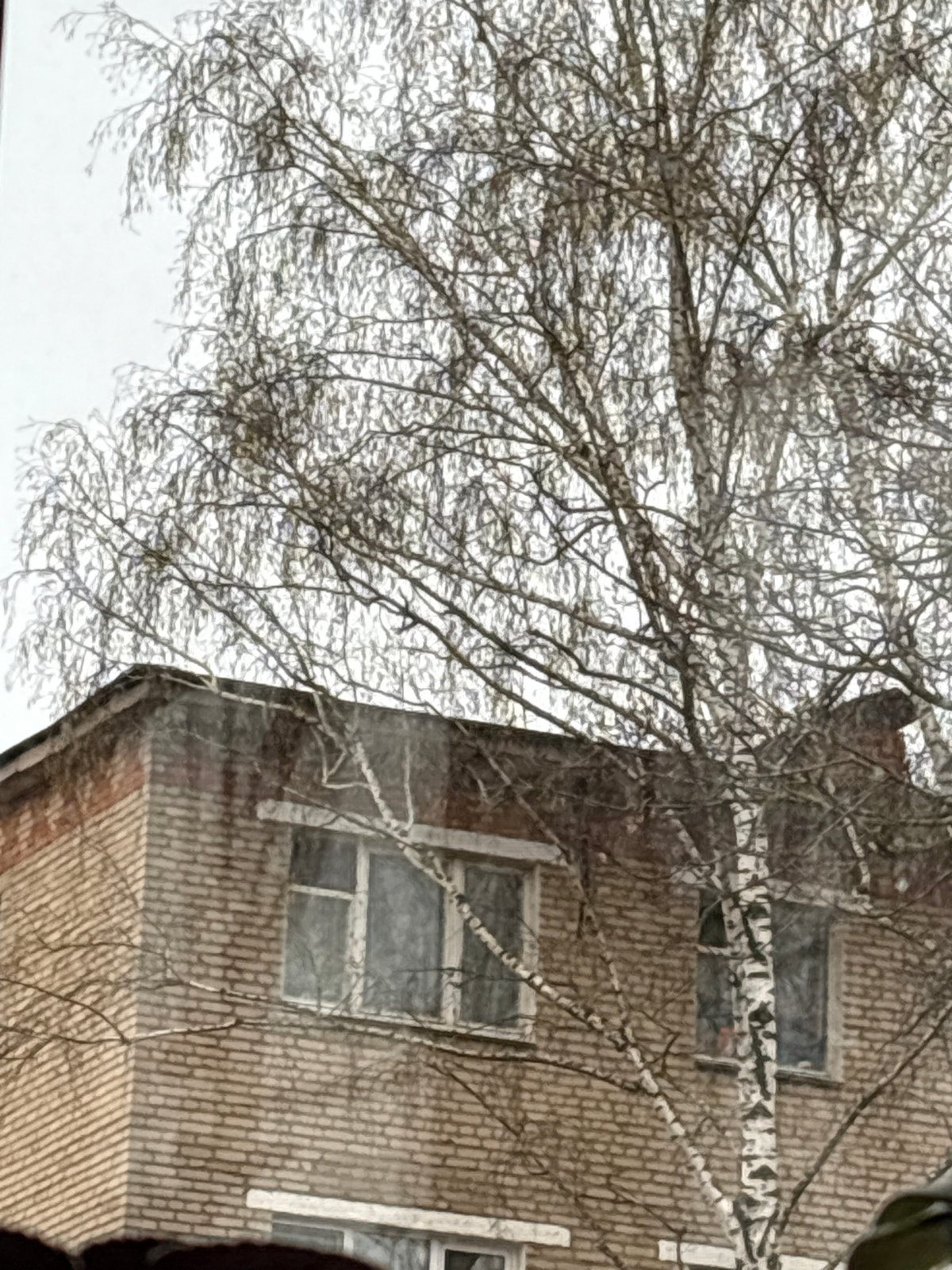 Brick building viewed through window in Klin, Russia