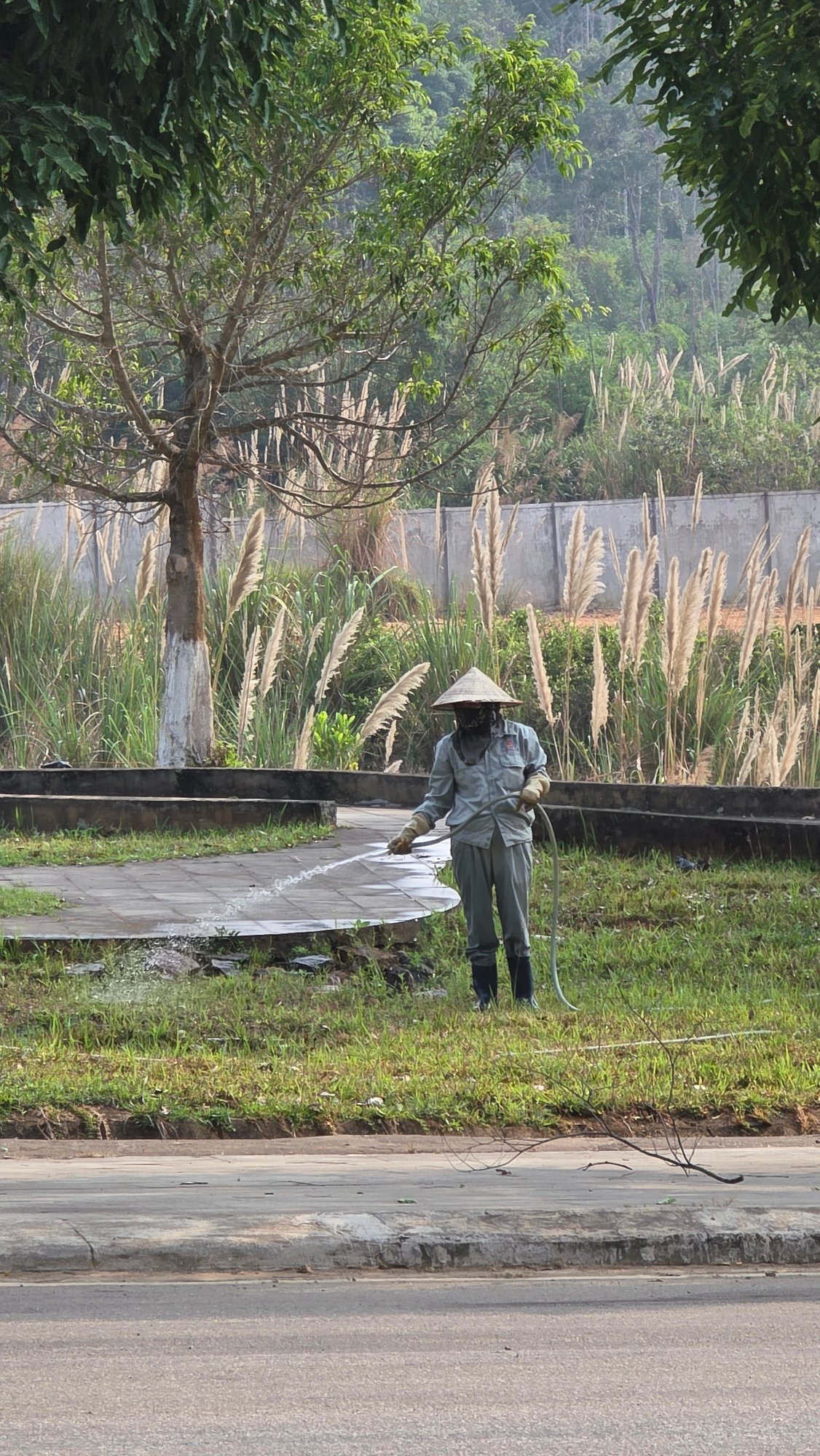 Outdoor laptop use and maintenance activity observed in Bo Y