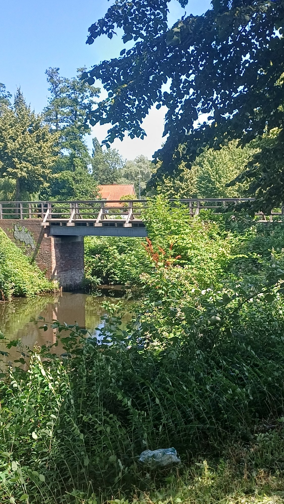 River, pier, and brick building along a tree-lined waterway