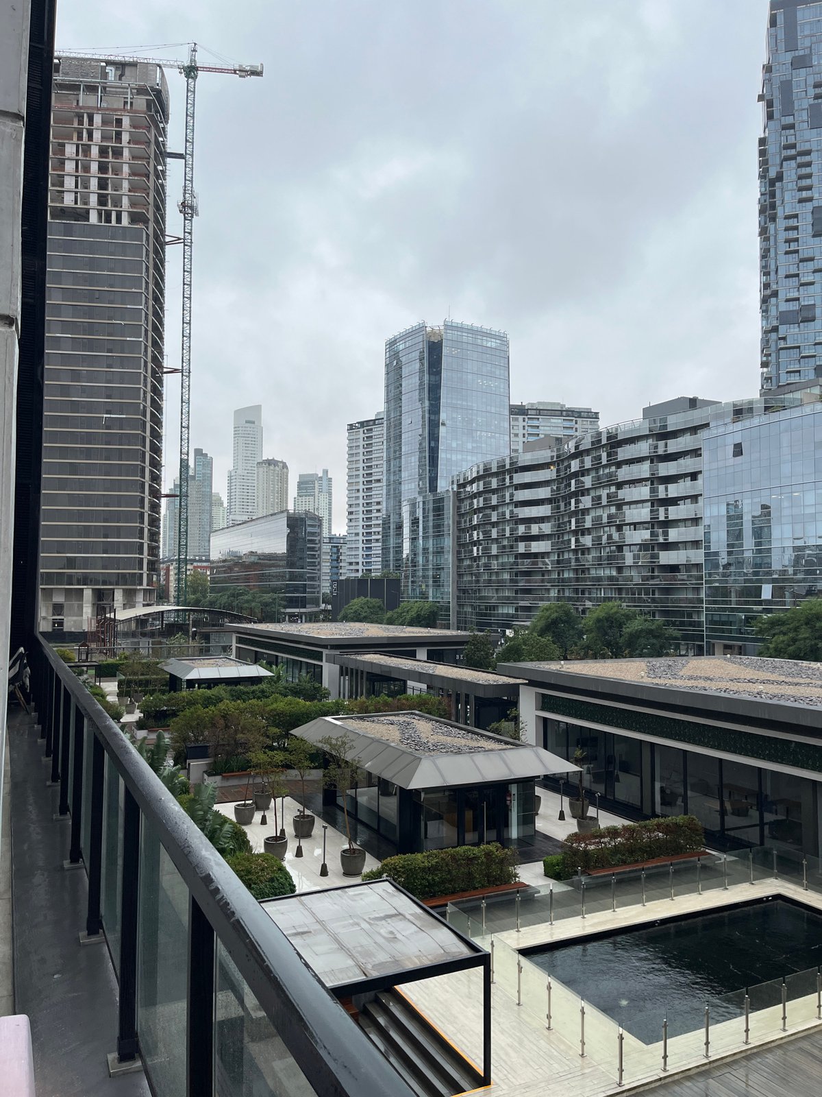 Buenos Aires scenes: Puerto Madero district, indoor dog sighting
