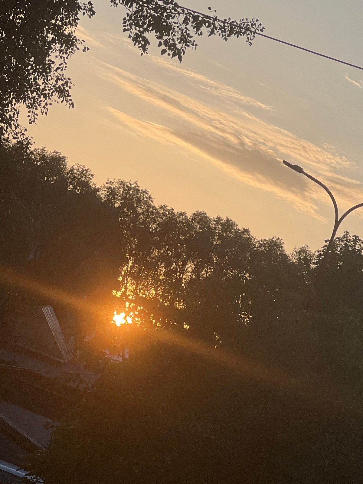 Warsaw sunset drifts from garden roses to silhouetted city streets