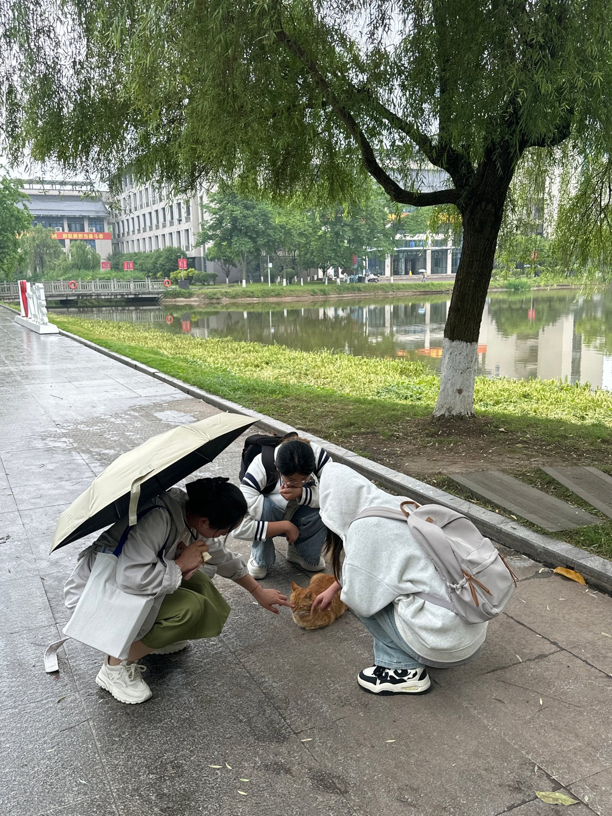 Morning life unfolds across Jiangjin's public spaces