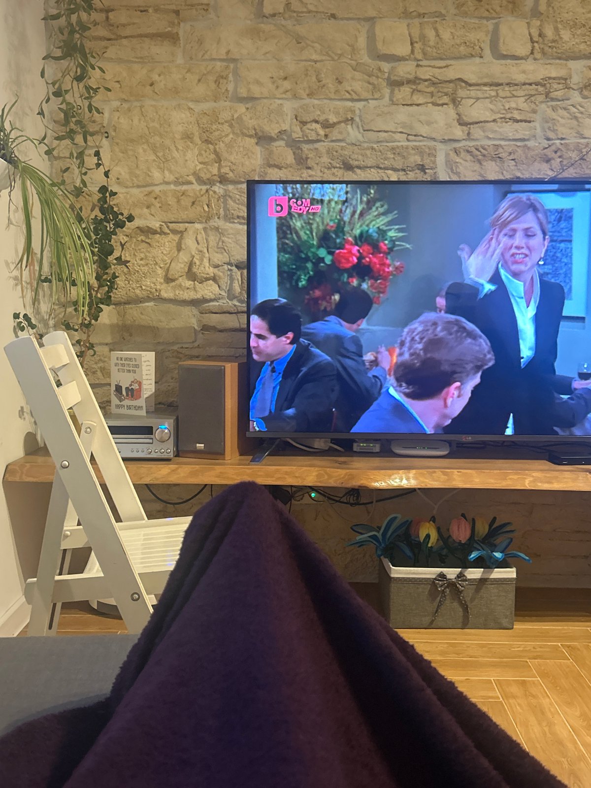 Indoor scenes capture TV sitcom and secured plant pot