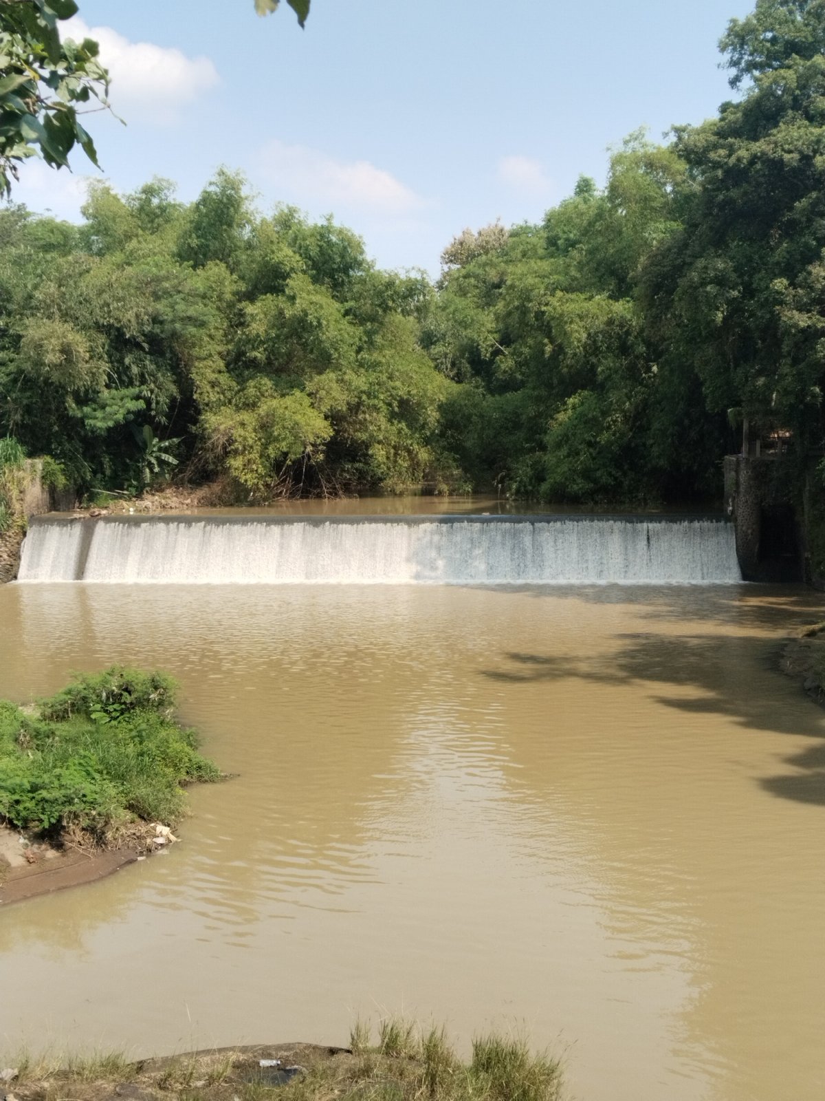 Wide muddy waterfall documented amid green trees at unknown location