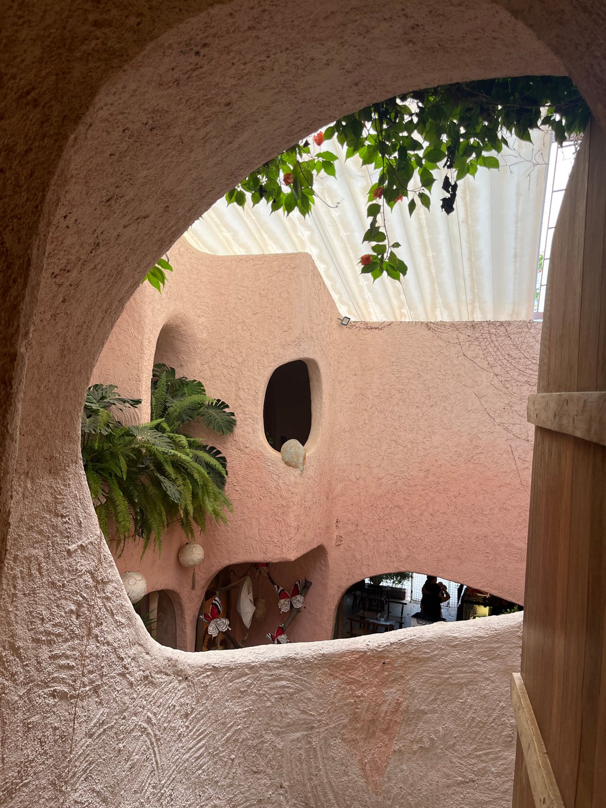 Morning cafe visit features pink textured walls, tropical plants