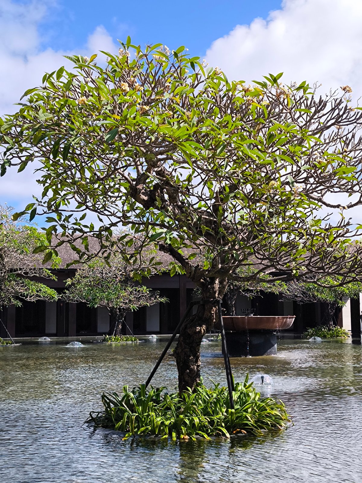 Inside a high-end Bali resort: lobbies, pools, and live gamelan