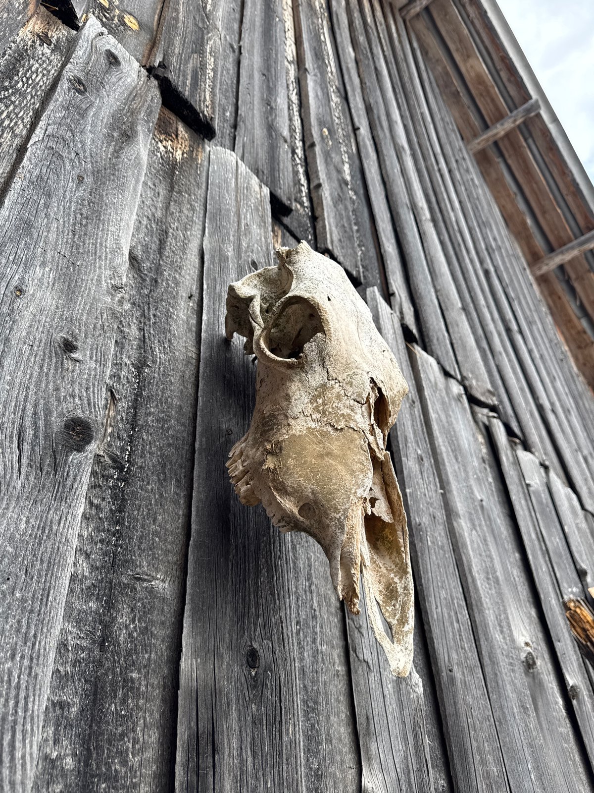 Rural exploration documented in Amaneevo village, Russia
