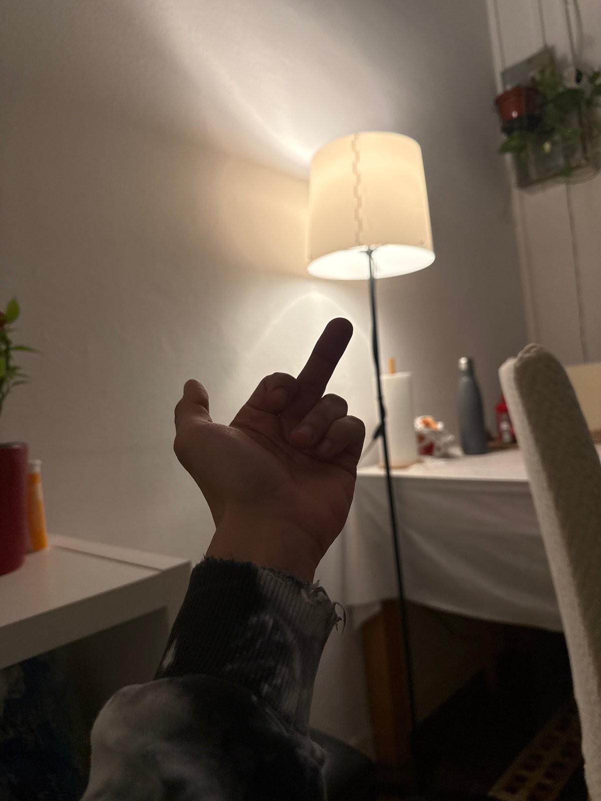 Barcelona resident documents casual domestic moments across two-hour period
