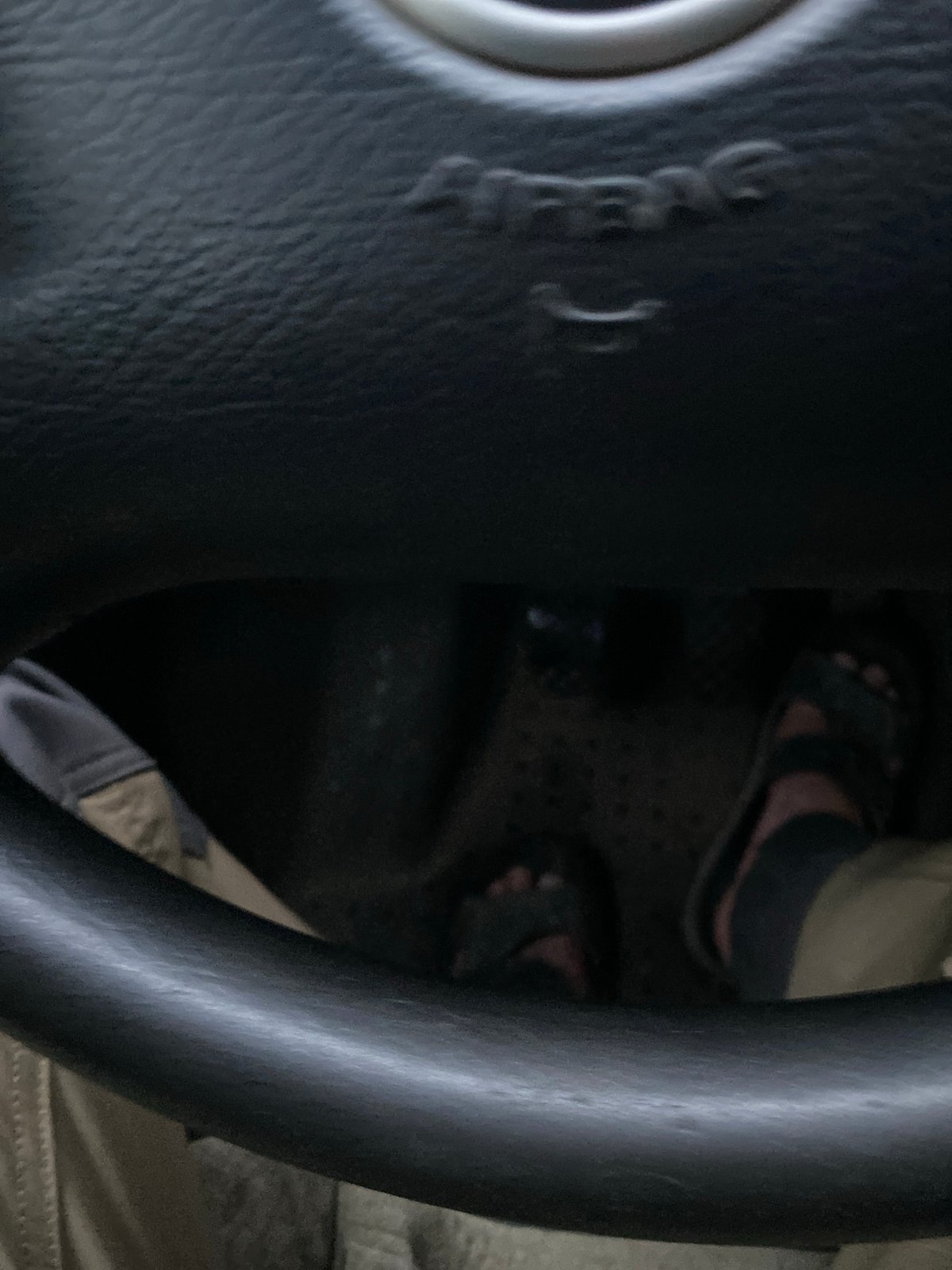 Driver documents rainy evening journey through wooded roads