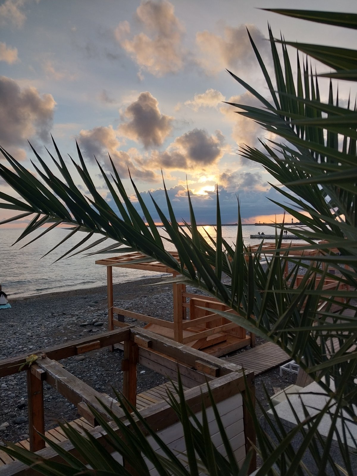 Beach scenes documented in Sochi featuring palm trees, Poseidon sculpture