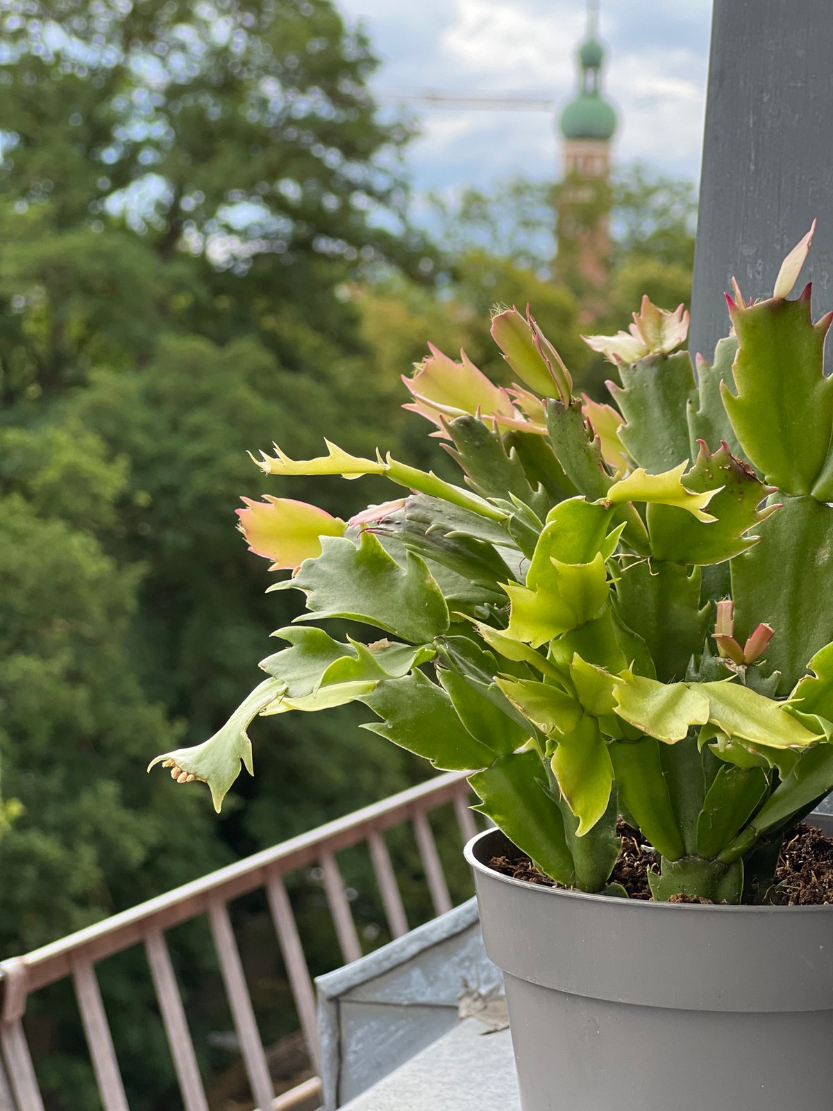 Rooftop views and balcony life in Straubing on a cloudy morning