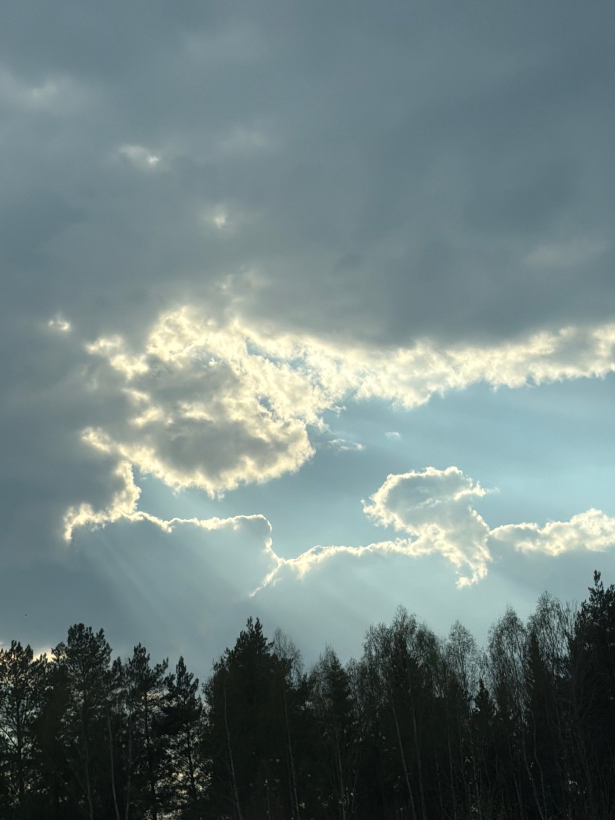Dramatic sunlight breaks through clouds over Russian forest