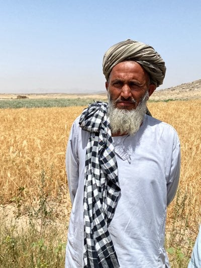 Afghan farmers and children observed in harvest fields