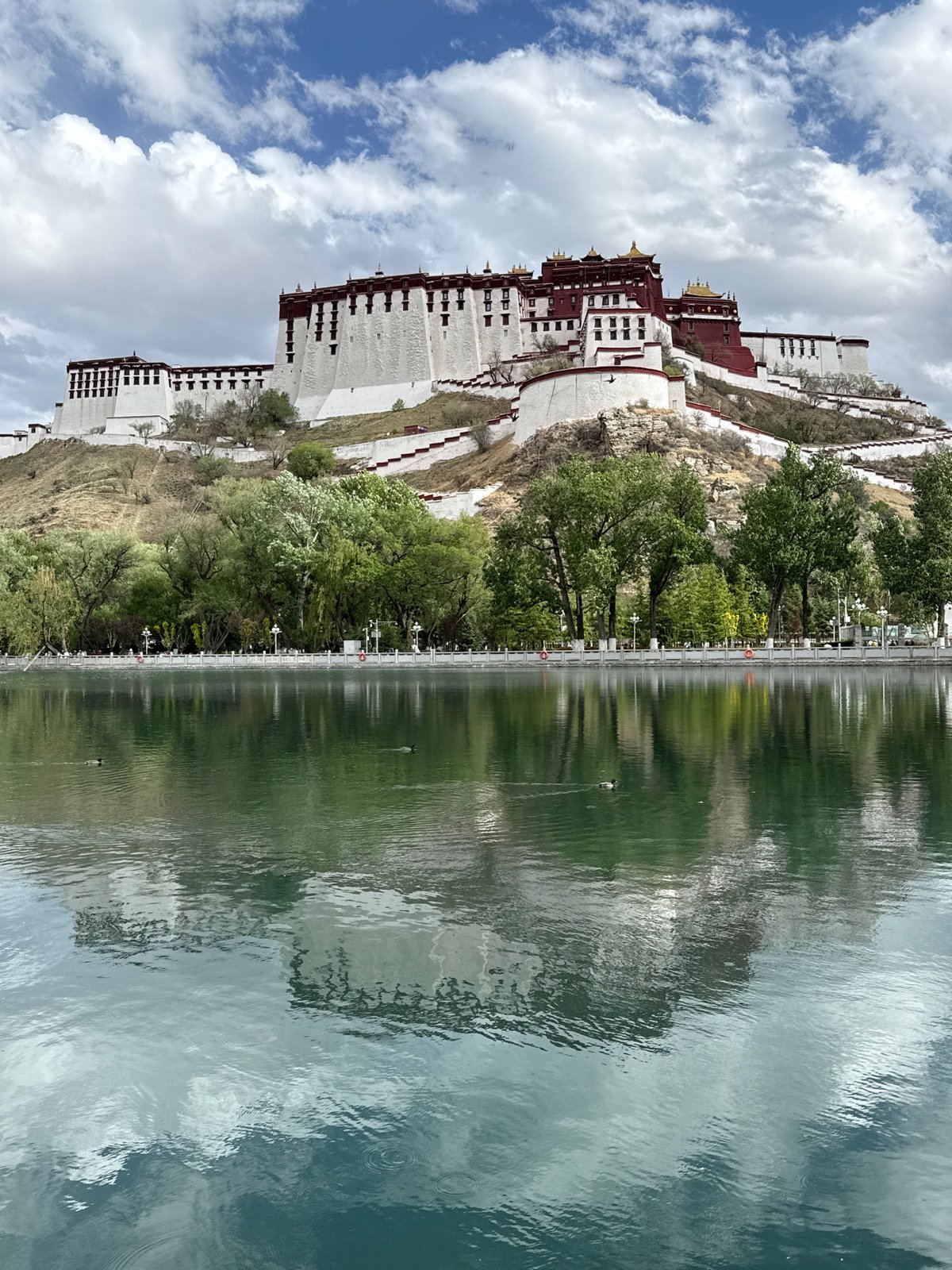 Potala Palace reflected in tranquil waters, ducks swimming peacefully