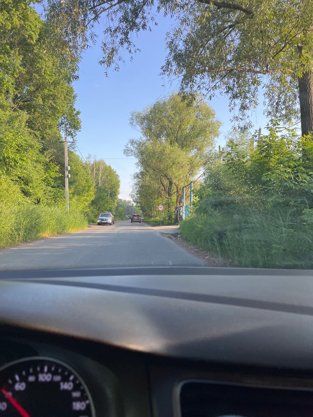 Forest road curves through dense trees near Октябрьский