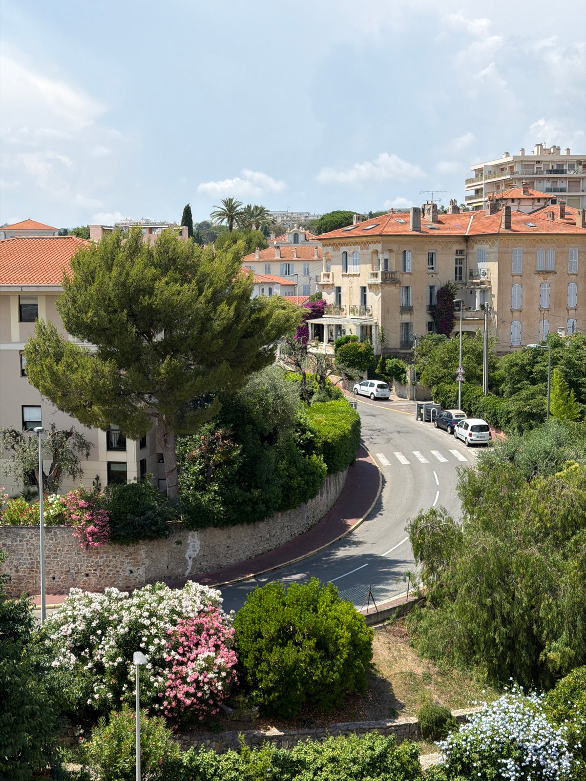 Witness documents midday scenes across Cannes residential hillsides