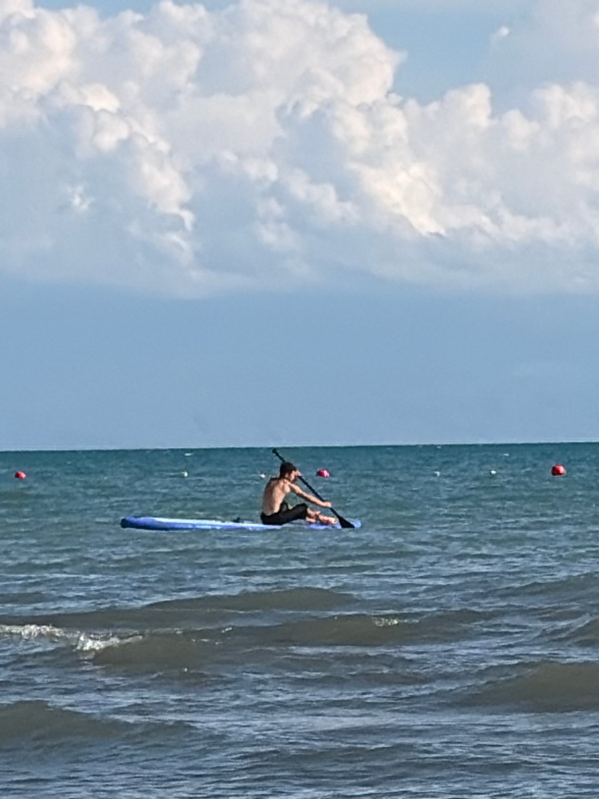 Paddleboarding, horses in the shallows, and beach activity on a sunny day