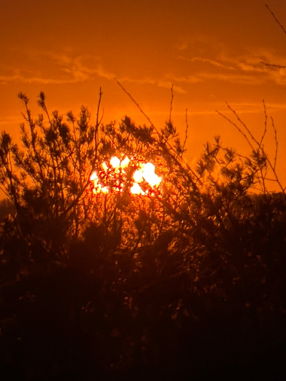 Dramatic sunrise captured by witnesses in Chaikovsky, Russia