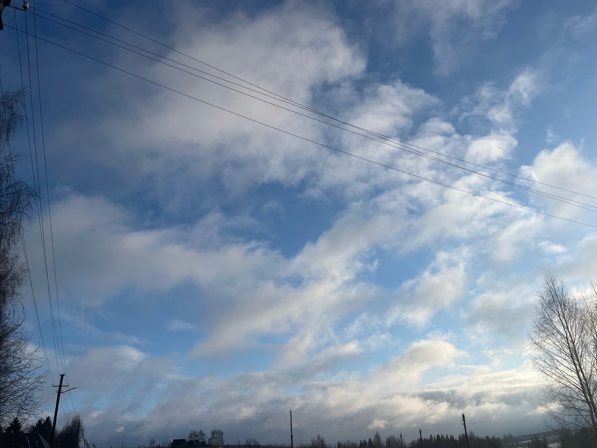 Winter morning walk captured in Павловка, Russia