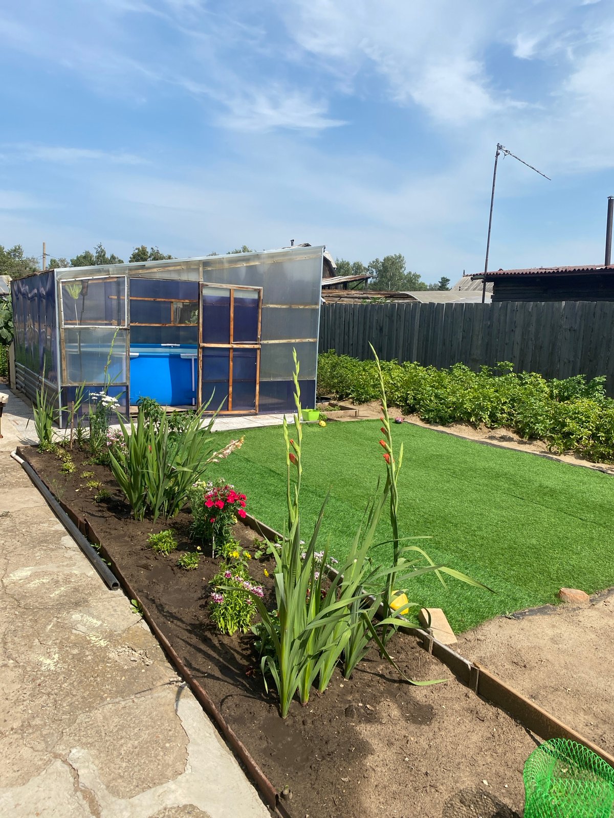 Summer at a Russian home: garden, sunflower, and living room
