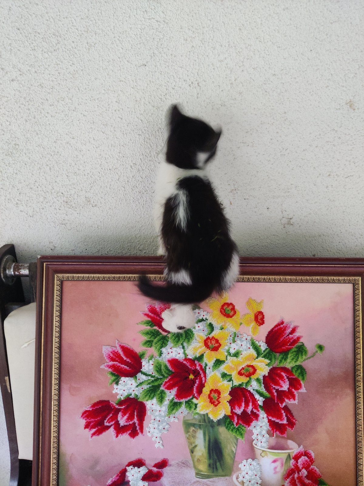 Kitten perches on framed floral beadwork, head mid-motion