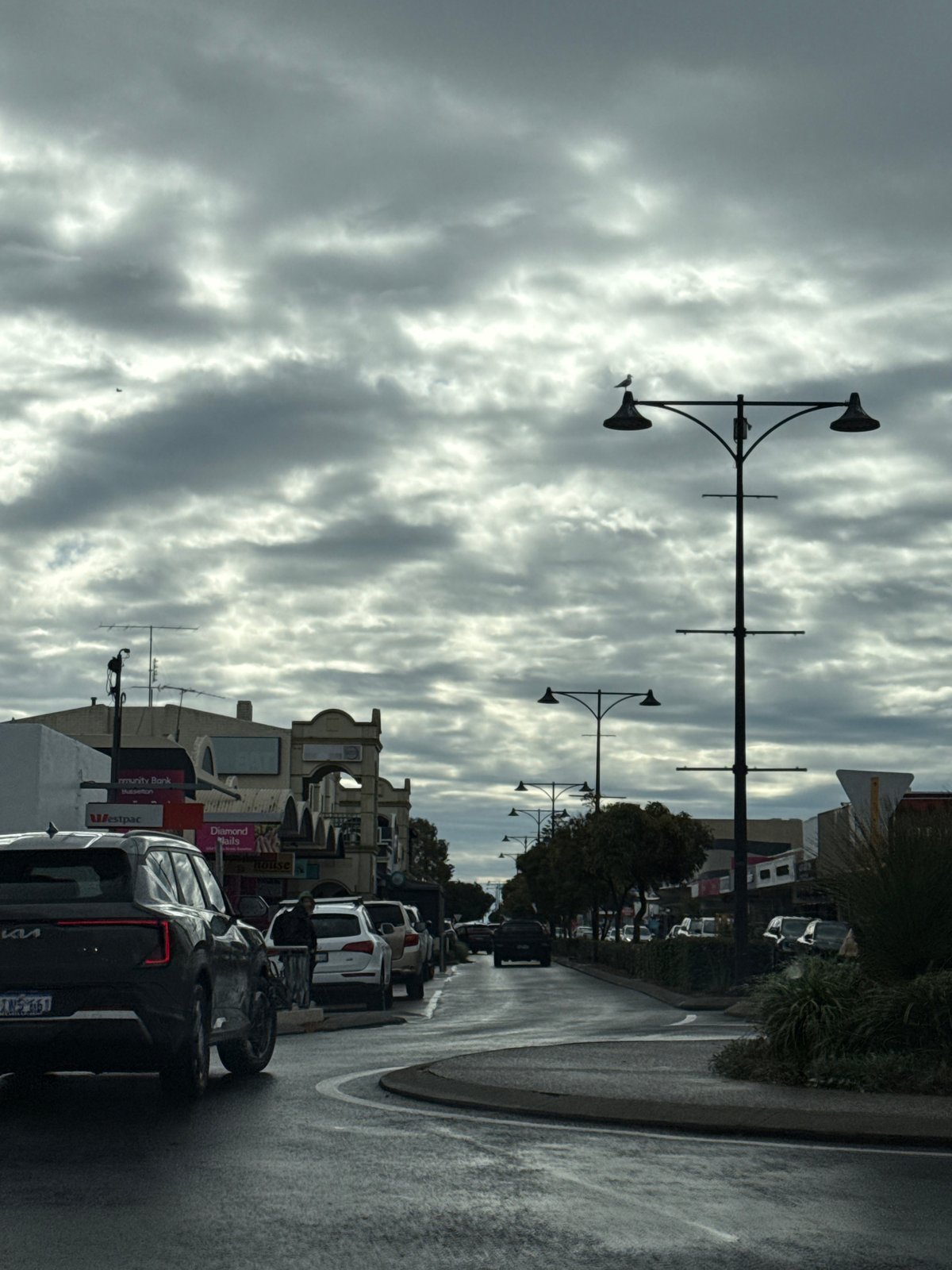 Overcast morning snapshots: streets, flowers, and vinyl records