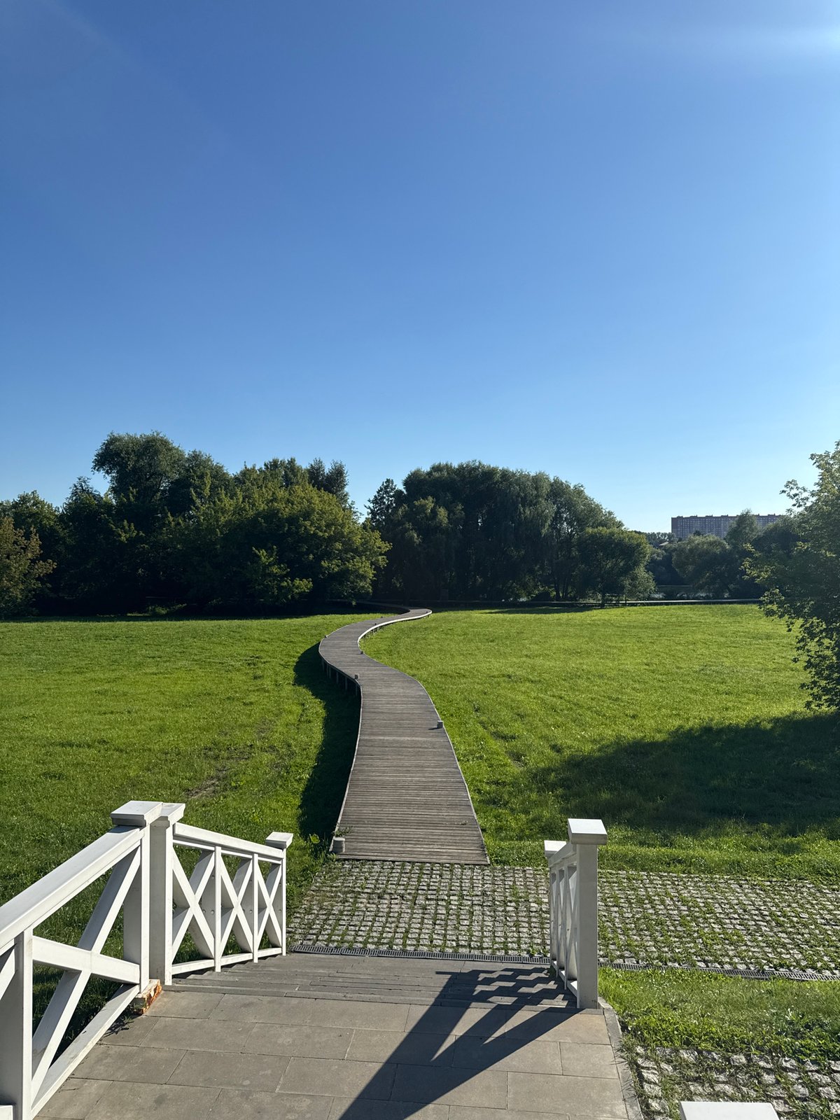 Afternoon stroll through a green park with swans and boardwalks