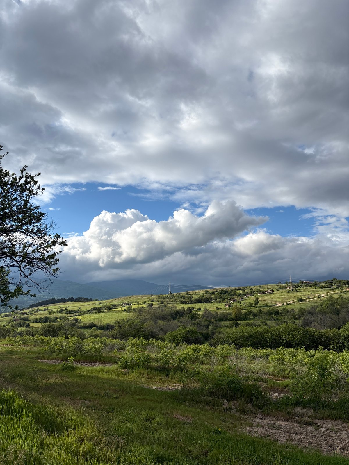 Dog walk documented in Bulgarian countryside near Panagyurishte
