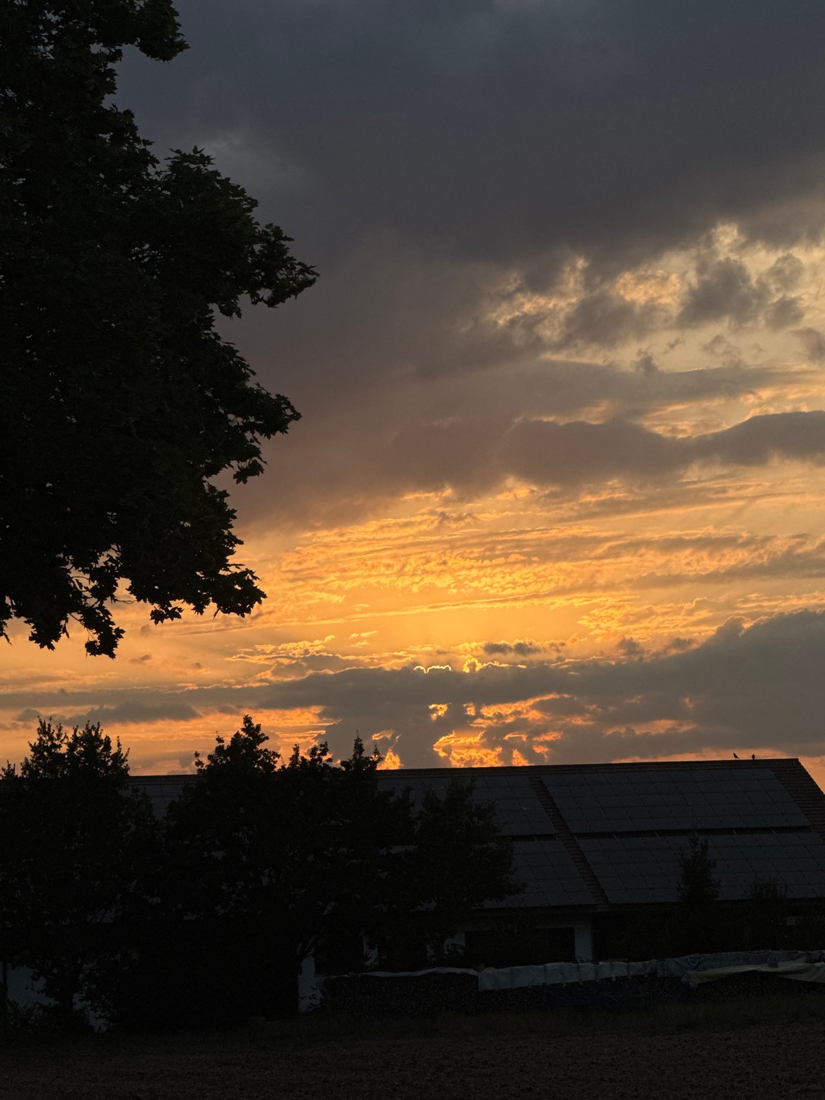 Summer garden and sunset, Wettstetten