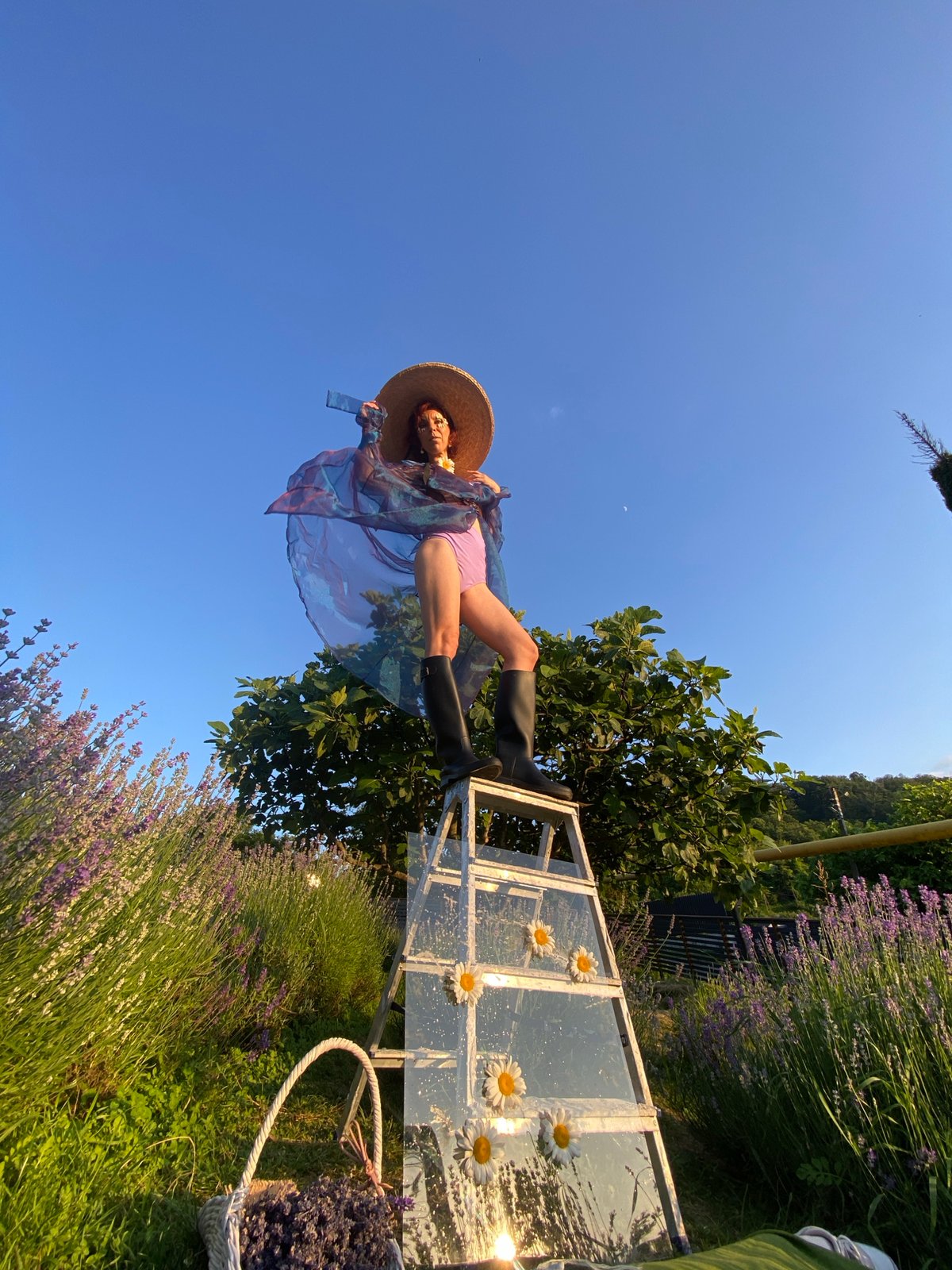 Styled photo session in a blooming lavender field, Russia